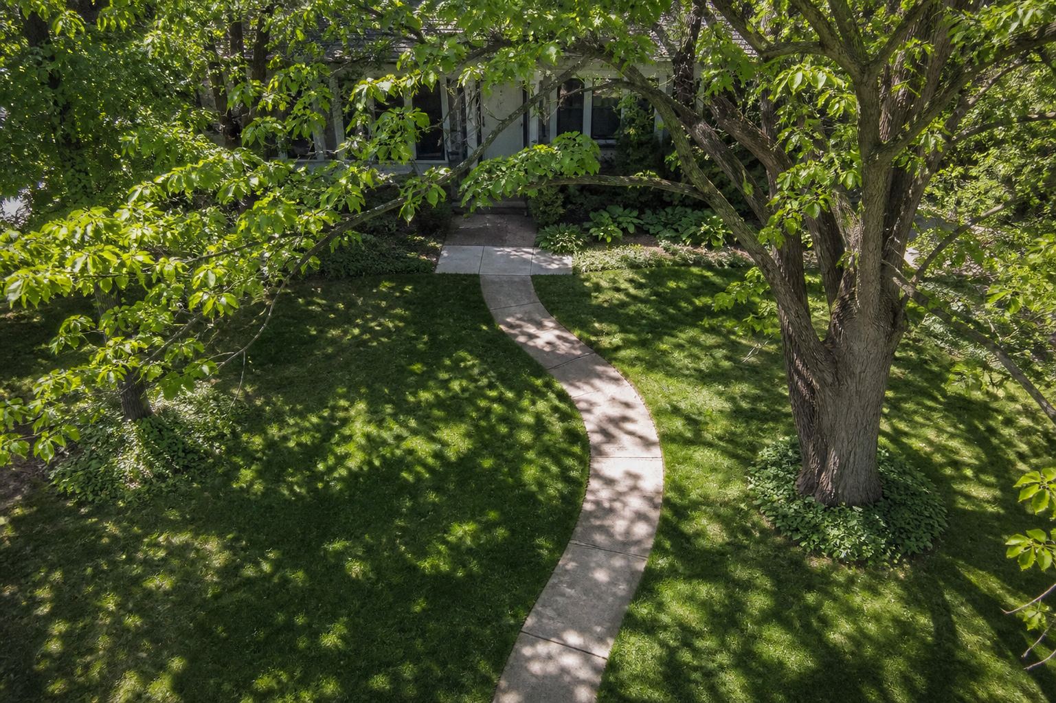 Overhead view of an S-curved walkway beneath mature shade trees